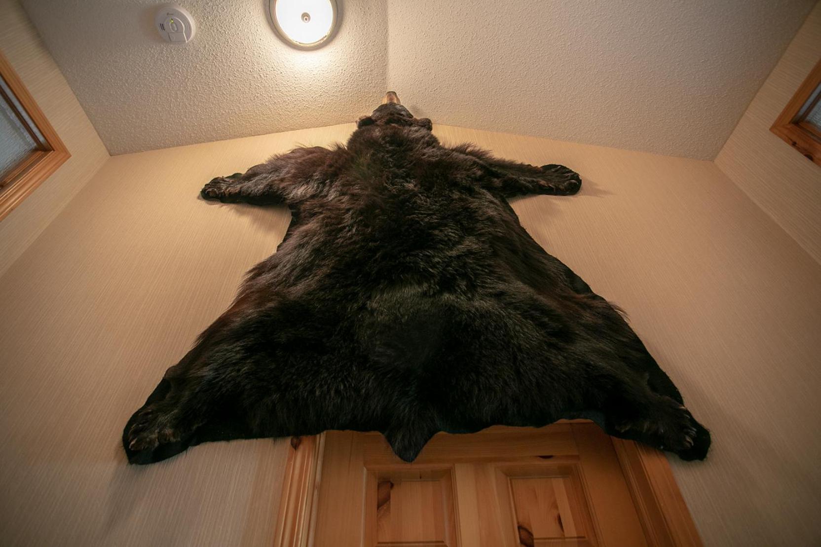 Banff Wood Lodge Канмор Екстериор снимка